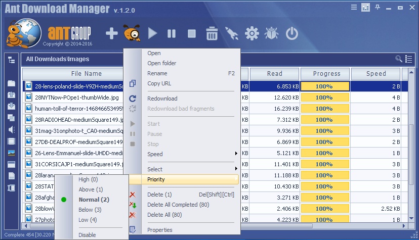 Ant Download Manager 2.11.0 / 2.11.1 Beta Free Download - VideoHelp