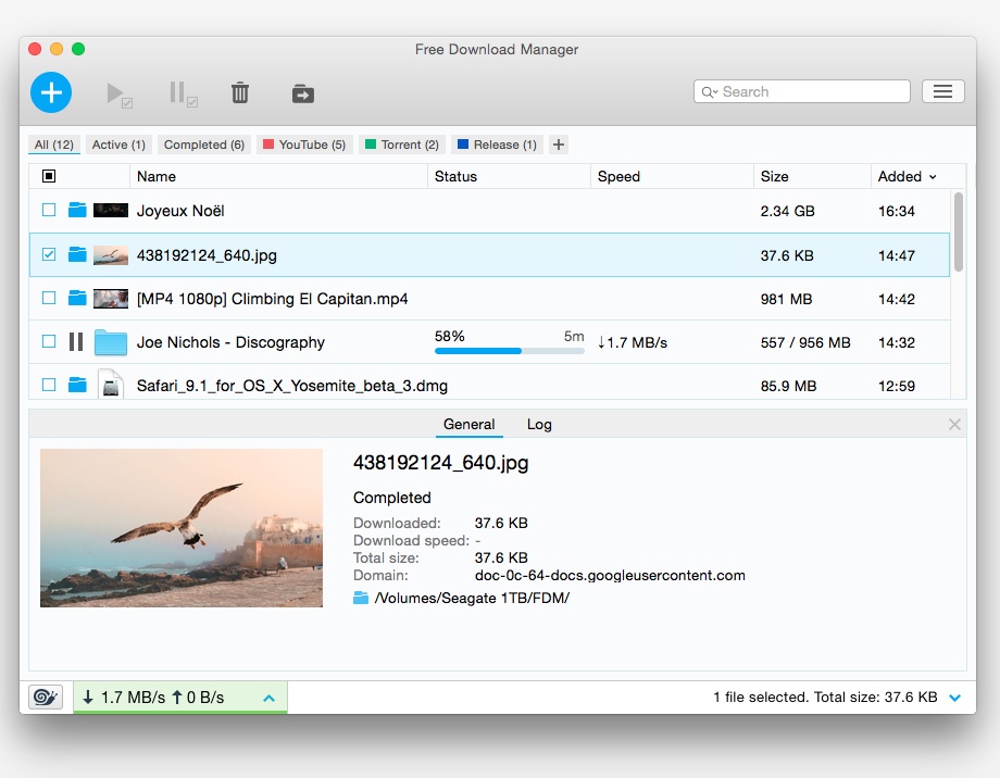 best download manager for chrome mac