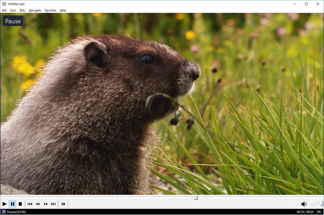 media player classic for mac download